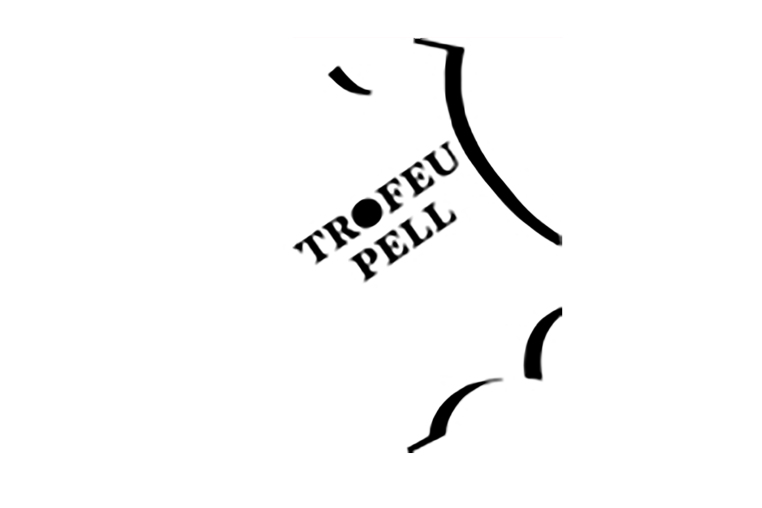 Pell Logo Sol 128x128 Pel Fotogenius Copia